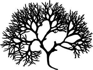 Branching