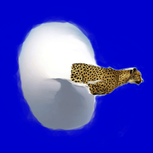Speed Of Life