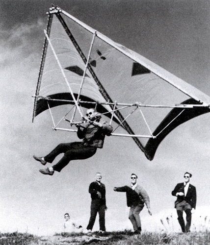 Ruichard Miller's Bamboo Butterfly