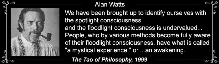 Alan Watts Quote