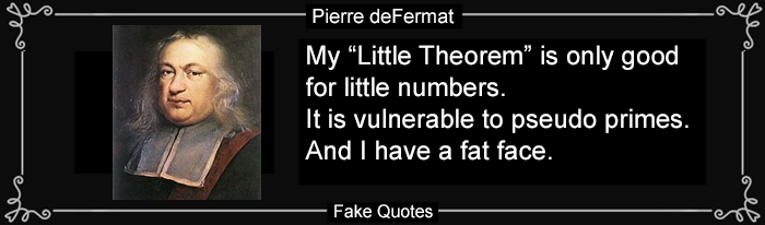 Fake Fermat Quote