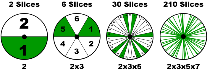 Prime Wheel 24
